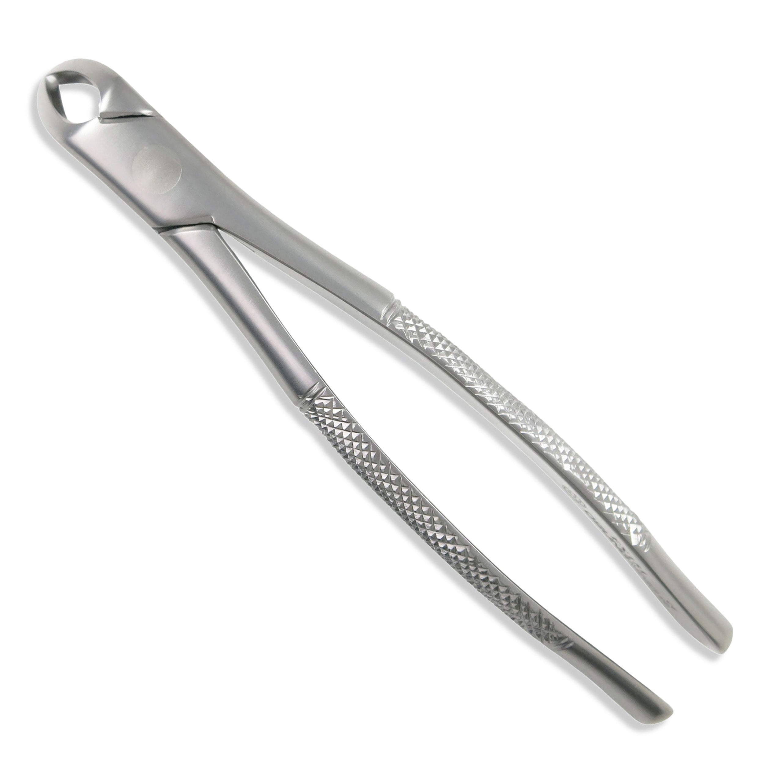 Dental Extraction Forceps #151 Lower Incisors Canines Premolars Premium Osung -FX151