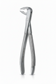 Forceps No. 19 White Shadow