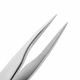 Tweezerman Stainless Steel Slant Tweezer - Close-up Slanted Tips